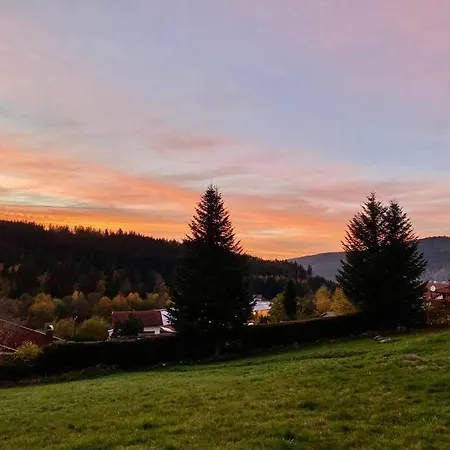 Gerardmer Appt 4/6 Rez De Jardin Exterior photo