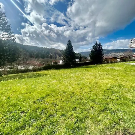 Gerardmer Appt 4/6 Rez De Jardin Exterior photo