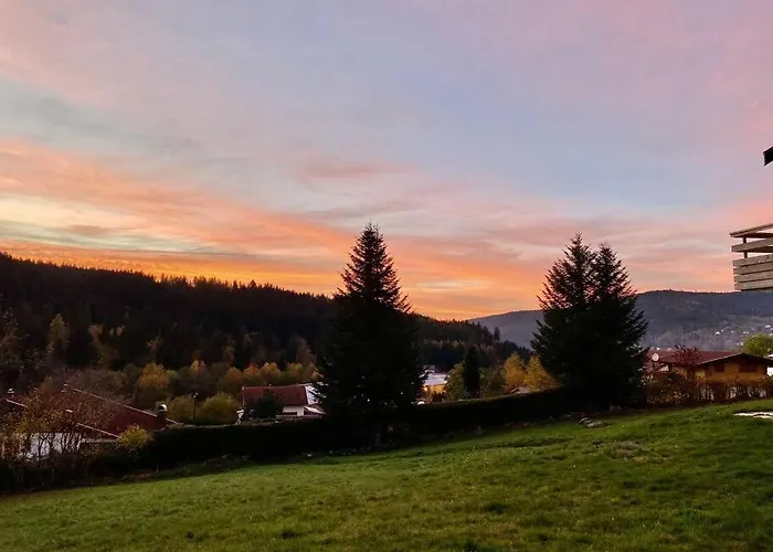 Gerardmer Appt 4/6 Rez De Jardin